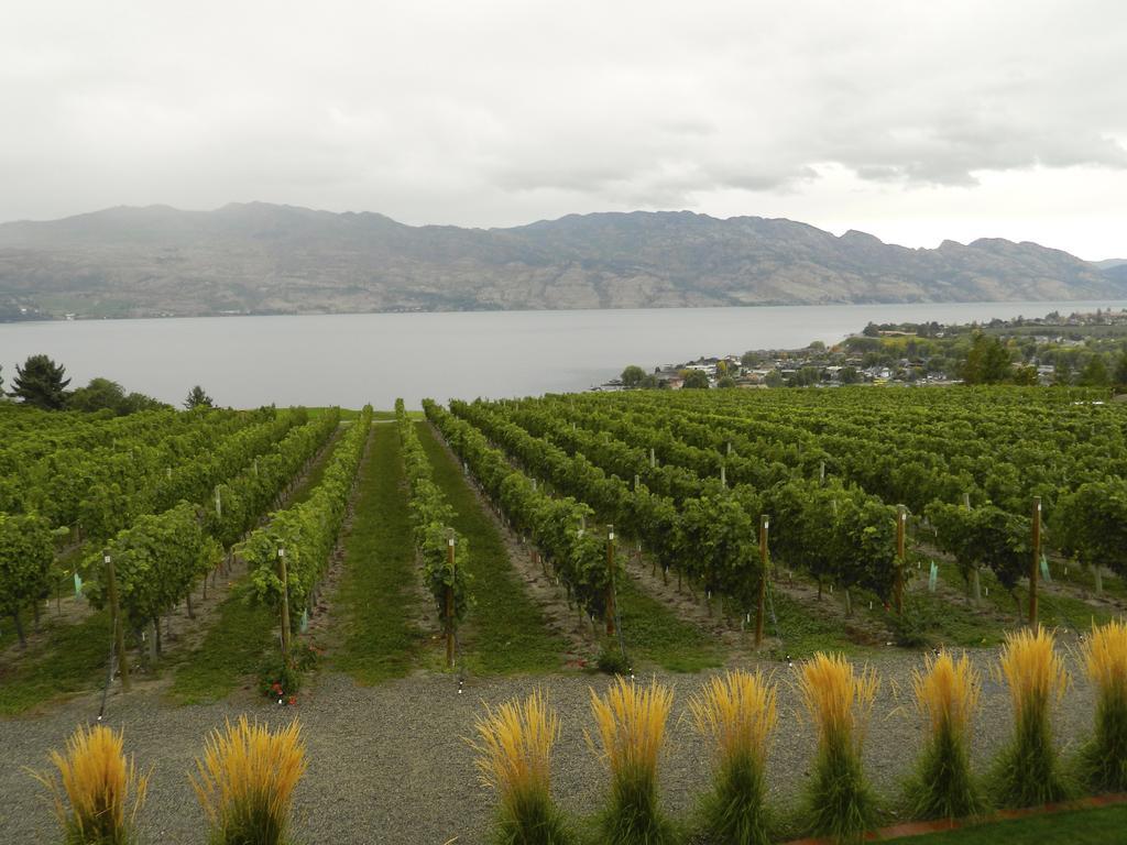 Winedownhere - Lic. 75806 Келоуна Екстер'єр фото